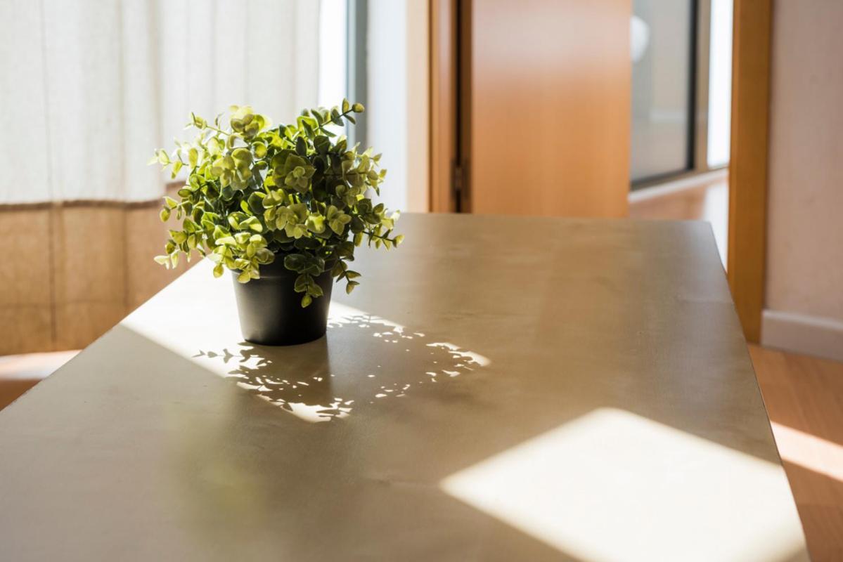 Sf2 - Sagrada Familia Bright & Quiet Apartment バルセロナ エクステリア 写真